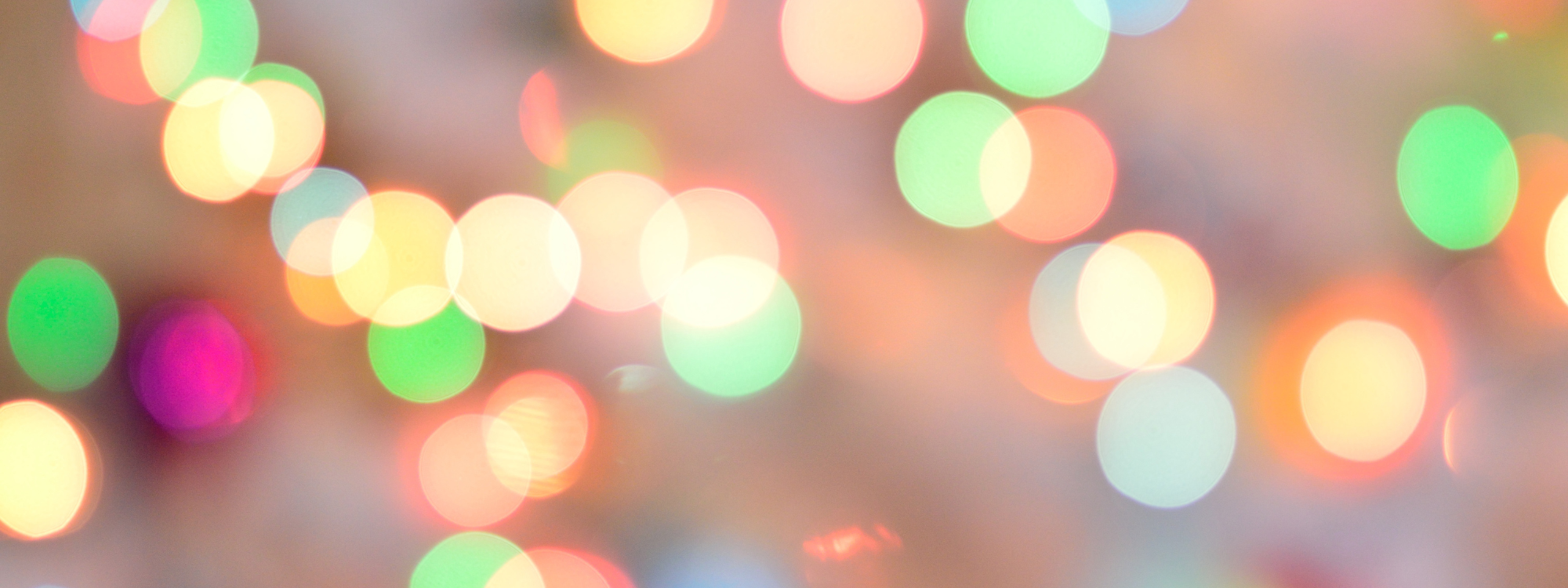 Upcoming Special Events *Holding on to Hope & Left to their own devices*Click here for more info